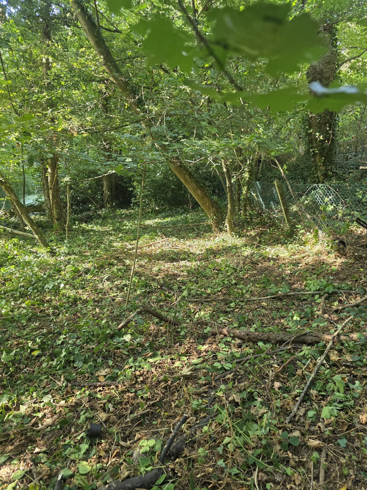Terrain constructible à vendre à Lasne